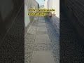Gracias Dios! #landscape #walkway #lawncare