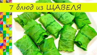картинка: Что приготовить из Щавеля 7 блюд на любой случай Вкуснятина необыкновенная