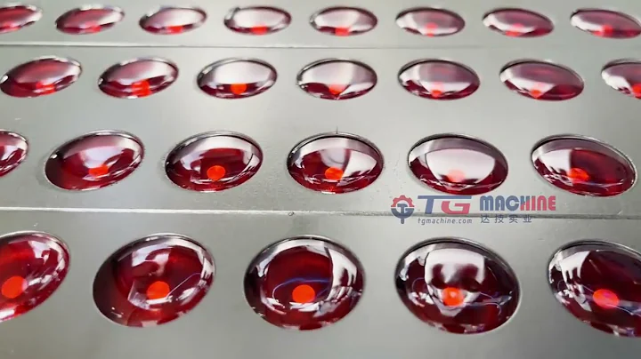 Beginner Gummy Candy Machine – 20kg/h Small Scale Production for Startups