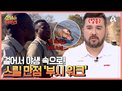 부시 <strong>워크</strong> 중 하마를 발견했다?! | 선 넘은 패밀리 48 회