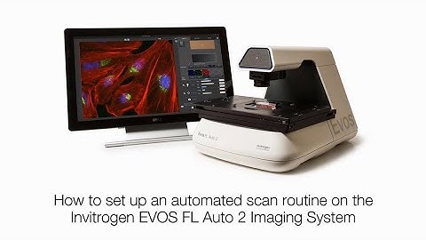 Setting up an automated scan routine on the EVOS FL Auto 2 Microscope