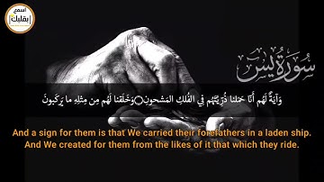 سبحان من رزقه هذا الصوت 😴 سورة يس كاملة بصوت القارئ احمد السويدي