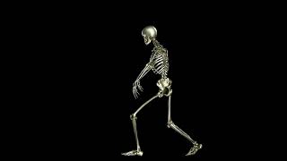 DaNciNg SkeLeToN GraPHic | ScarY HorroR SounD EffecT #soundeffects #soundfx #trendingsounds #shorts