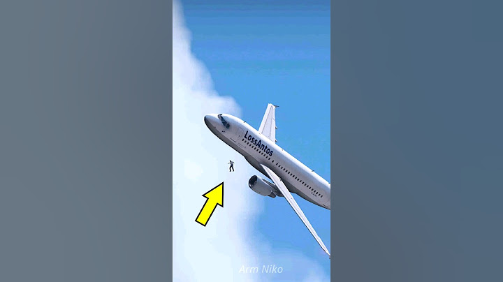 Pilot Falls From Plane Into Water During Flight In Grand Theft Auto 5