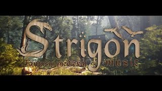 Strigôň - Drink Up, There's More! - Witcher 3 (Percival) cover - Thurzové slávnosti 2017