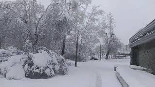 Снежный апокалипсис в Ревде. Поломанные деревья. Оборванные провода. Тысячи домов без электричества.