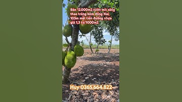 Bán 12,000m2 vườn mít sông thao trảng bom đồng Nai ,105m mặt tiền đường nhựa, giá 1,3 tỷ/sào