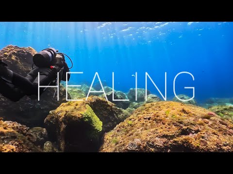 Izu Japan Underwater Walk｜Relaxing Piano & Ocean Views – Healing BGM｜水中散歩3 癒しのピアノBGM 伊豆諸島・八丈島