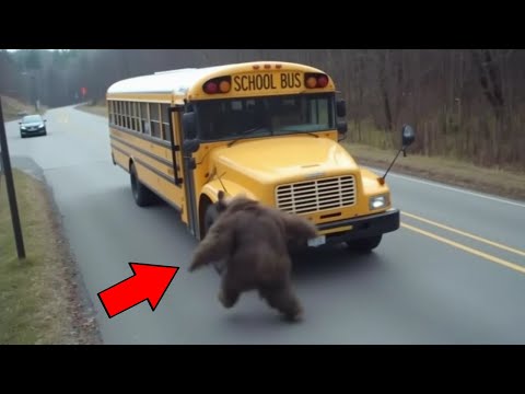 Bigfoot Tears Apart