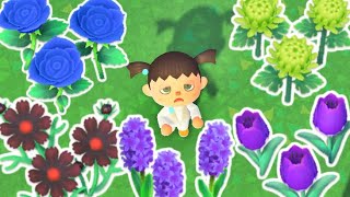 How Fast Can I Get EVERY FLOWER in Animal Crossing New Horizons?