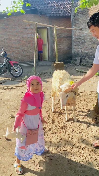 SAMANTHA NANGIS SEDIH KAMBING DIPOTONG LEBARAN #shorts #short #viral  #viralshorts #viralvideo