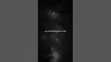 ما تيسر من سورة الجاثية ❤️ / تلاوة خاشعة