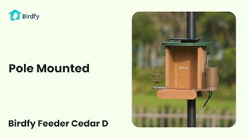 Pole Mounted - Birdfy Feeder Cedar D Tutorial