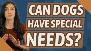 Can dogs have special needs? How To Tell If Your Dog Is Special Needs