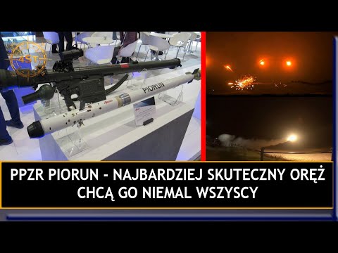 Wideo: Czy istnieje miniaturowy świerk niebieski?