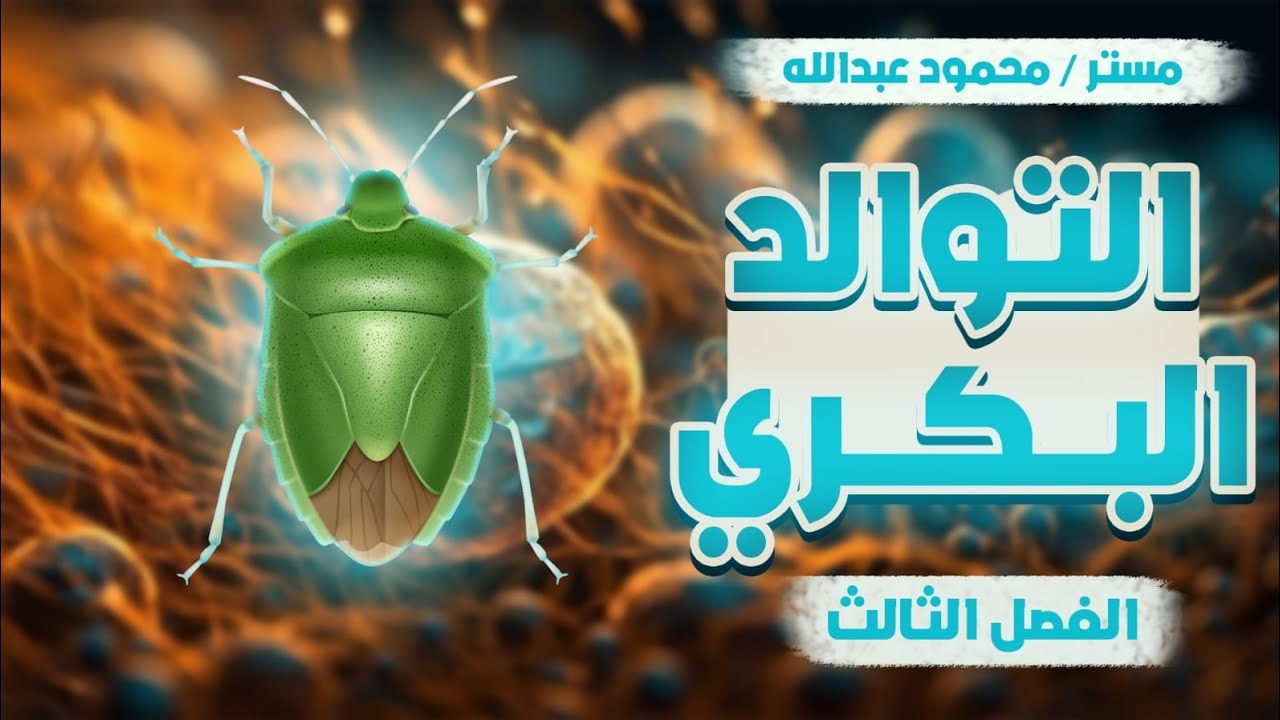 التوالد البكري #٣ثانوي #الثانوية_العامة #تالتة_ثانوي