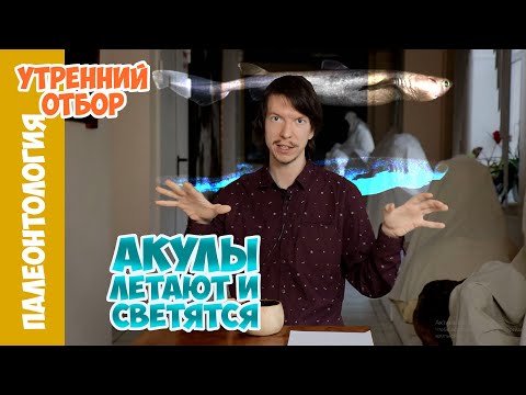 Акулы учатся летать. Ярослав Попов