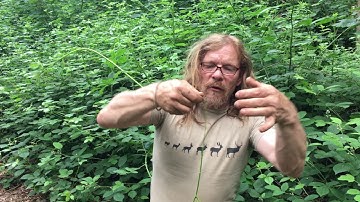 Cordage from Bramble