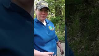 Frogs and Seeds Virtual Field Trip for 1st Graders- NGSS