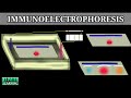 Immunoelectrophoresis