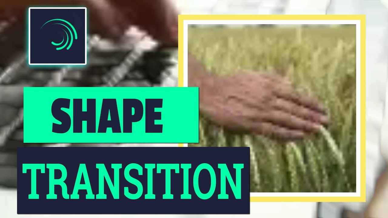 how to create simple shape transition! Alight motion tutorial ...
