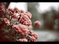 انهاري تجري من تحتي 