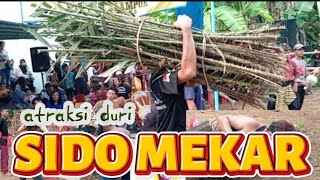 JANTURAN - HAMPIR RUSUH - EBEG SIDO MEKAR - LIVE SIDODADI