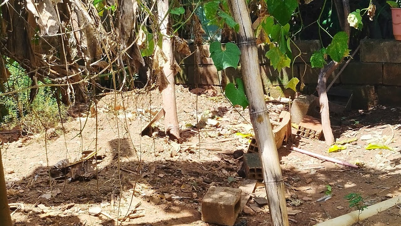 Nair tudo  um pouco e artesã  está ao vivo!