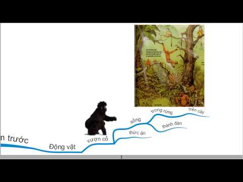 Video Lịch sử 6 - bài 3 - xã hội nguyên thủy - phần 1- sơ đồ... - youtube