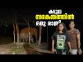 A Night in Periyar Tiger Reserve  | Kerala WildLife Trails  Puthettu Travel Vlog | Mp3 Song