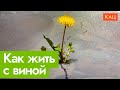 Что такое синдром выжившего (Eng sub)