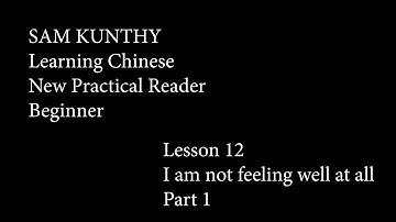 SAM KUNTHY Learning Chinese 12.1