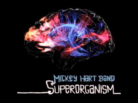 Video: Mickey Hart Nettovärde: Wiki, Gift, Familj, Bröllop, Lön, Syskon