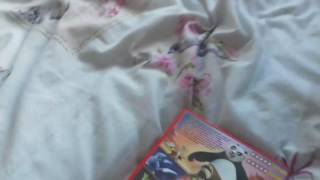 Kung Fu Panda Uk Retail Dvd Release