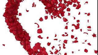 Love Rose 3 -  Kalp Gül Yaprağı 3