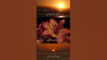 [ سورة الحجر الآية : 45 ]🌻 ‏ ࣪⋆𓏲.