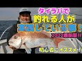 2022最新版 タイラバで釣れている人が実践している事！