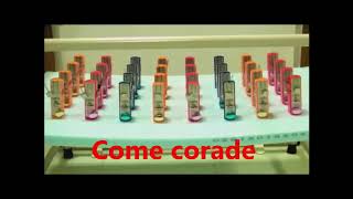 Metronome synchronization