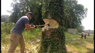 Chopping Down a Huge Tree, With an Axe