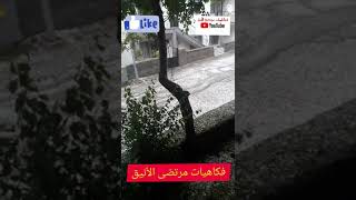 ماشاء الله ...تساقط الامطار الغزيره والبرد الكبير في تركيا ولايه YOZGAT 2020/ 22/6