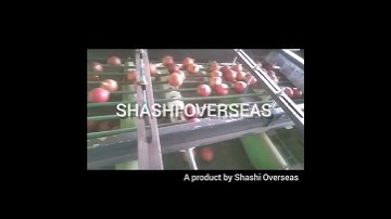 Pomegranate Grading machine by Shashi Overseas 9416995445