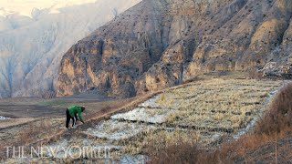 When Glaciers Go: Life Without Water | The New Yorker Documentary