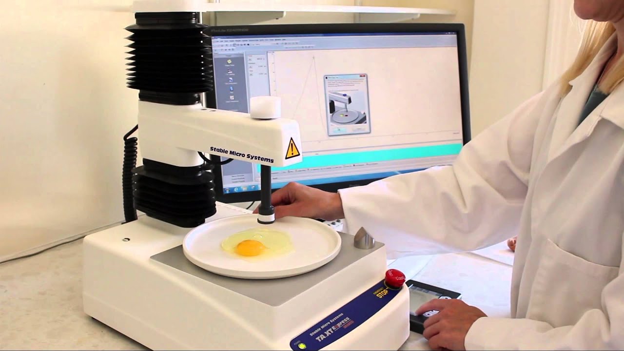 How To Measure Egg Quality YouTube How To Measure Egg Quality YouTube