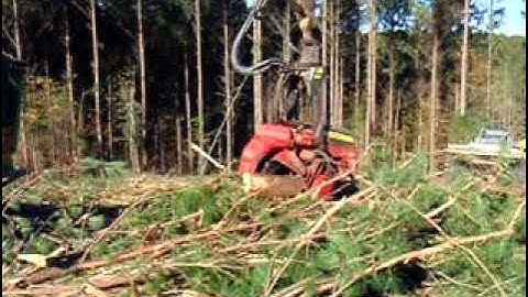 Waratah 624c on a John Deere 2554