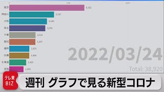 週刊 グラフで見る新型コロナ（2022年3月25日）