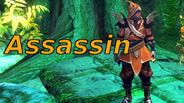 C9 Skillbook Showcase - Assassin new Raebin Extreme books