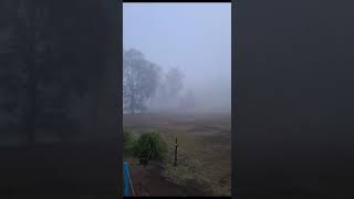 Queensland Australia  The Start Of The Spring Season