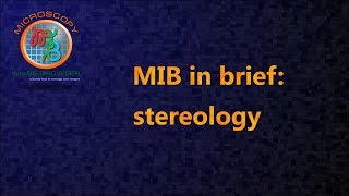 MIB in brief: stereology