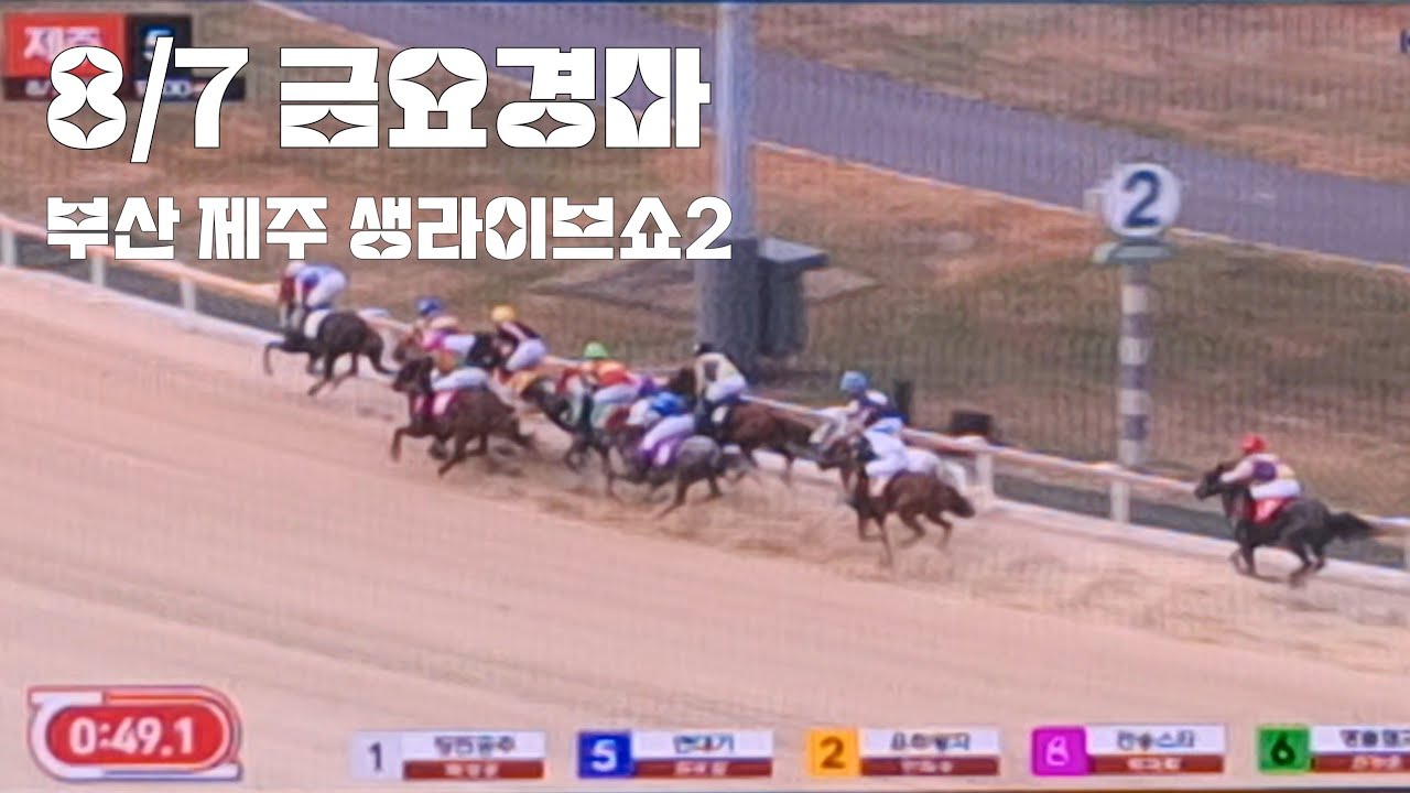 더위로 경주마도 지쳤구마! (금요경마 부산.제주 하이라이트 2)