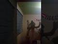 Filomena versión zombies🧟🧟🧟🧟🧟